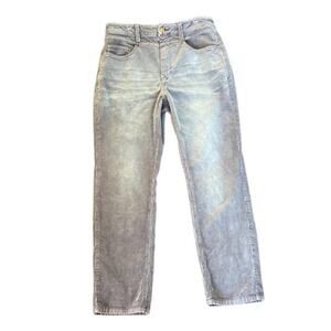 Anthropologie Pilcro Corduroy Pants Straight Leg Gray Neutral Cords Size 29